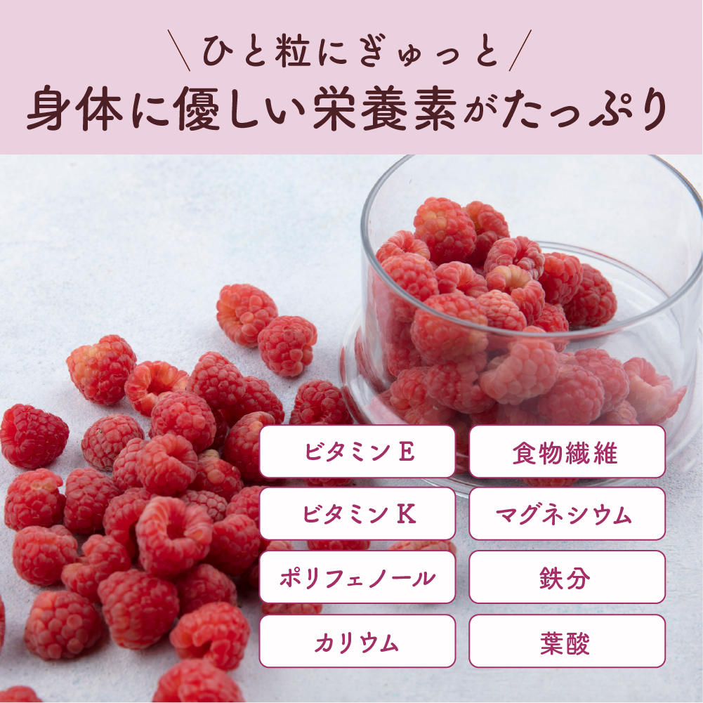 【無添加】ドライラズベリー