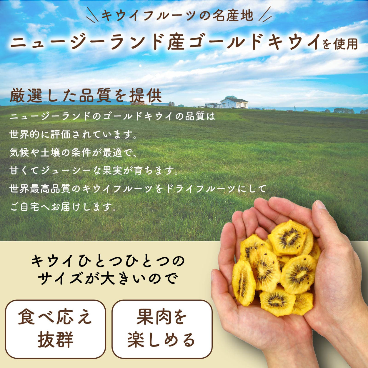 【無添加・砂糖不使用】ドライゴールドキウイ