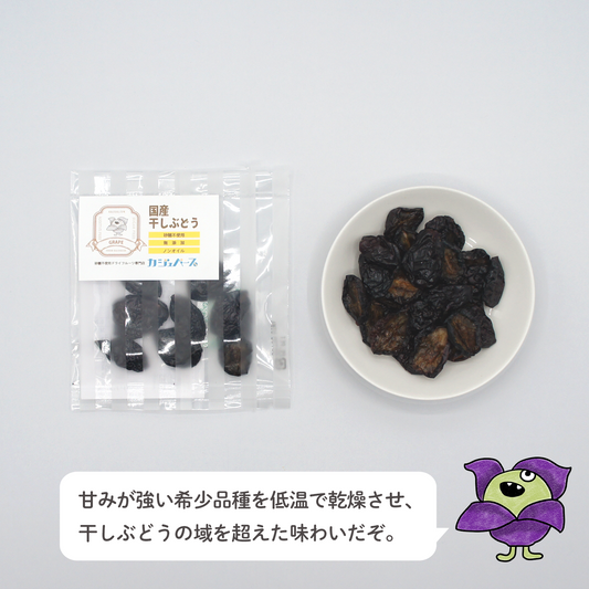 【無添加・砂糖不使用】国産干しぶどう 10g