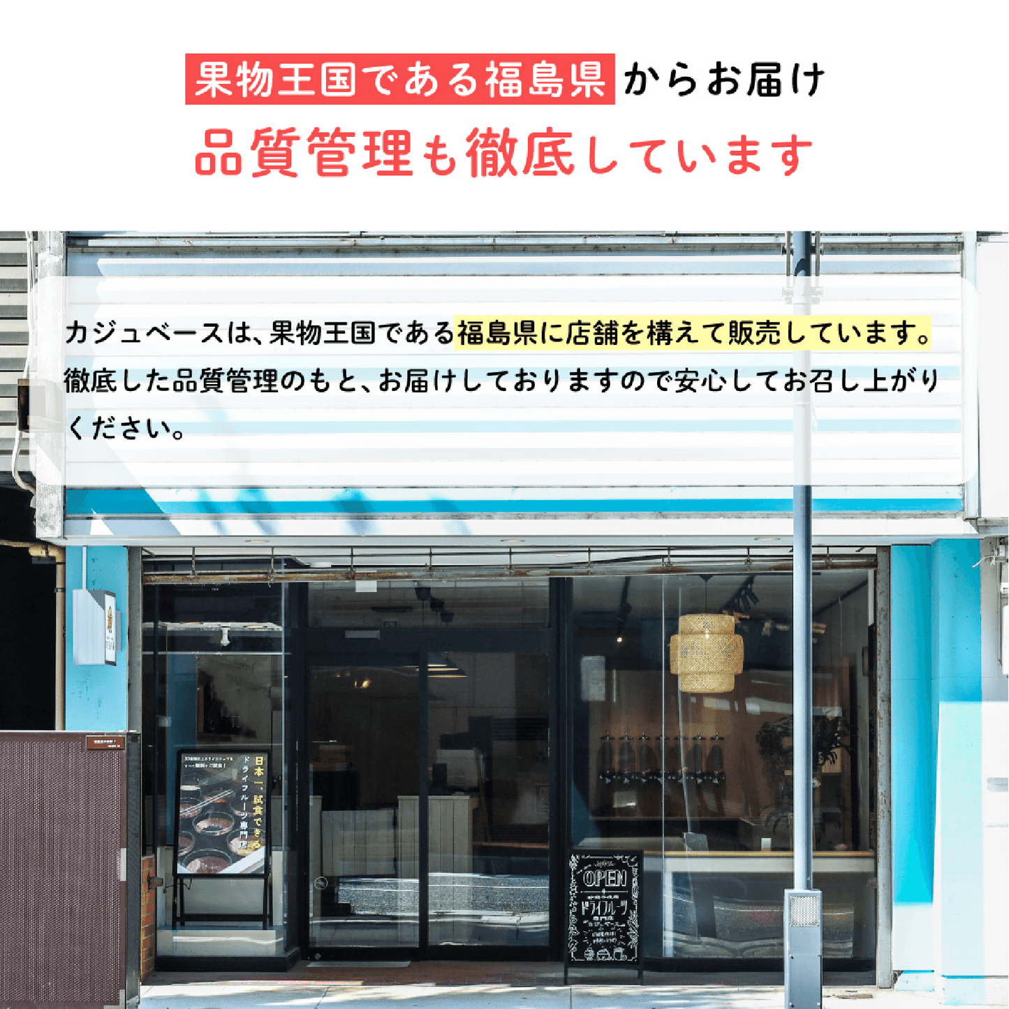 ドライフルーツアソート 5種セット