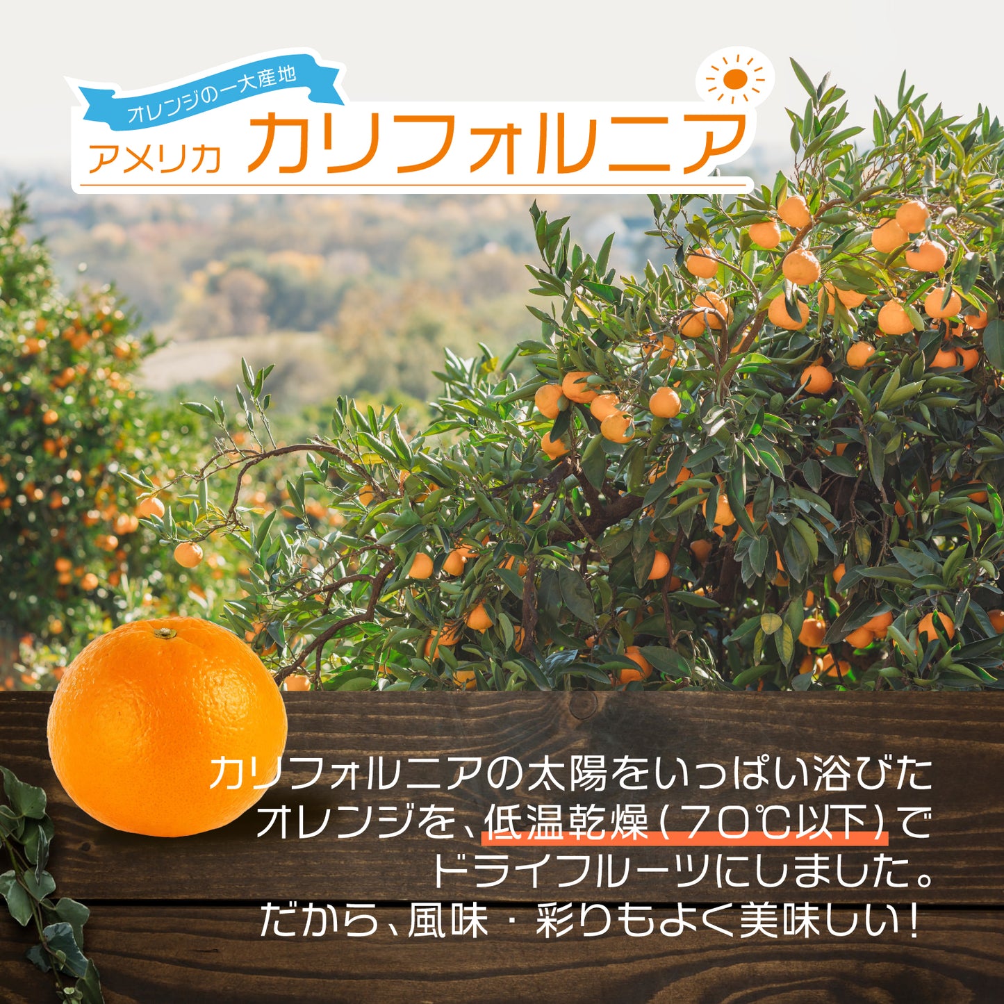【無添加・砂糖不使用】ドライオレンジスライス 200g