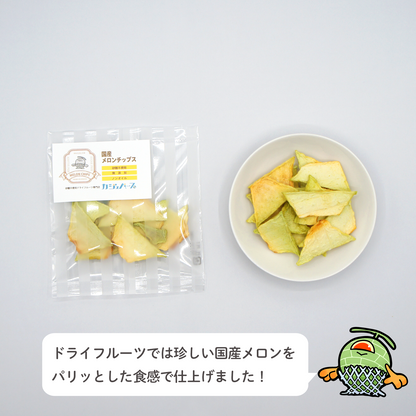 12種のドライフルーツセット