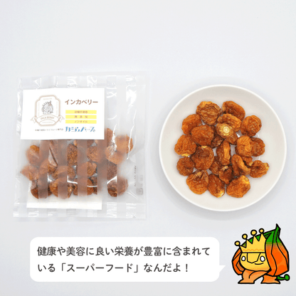 12種のドライフルーツセット