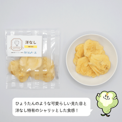 12種のドライフルーツセット