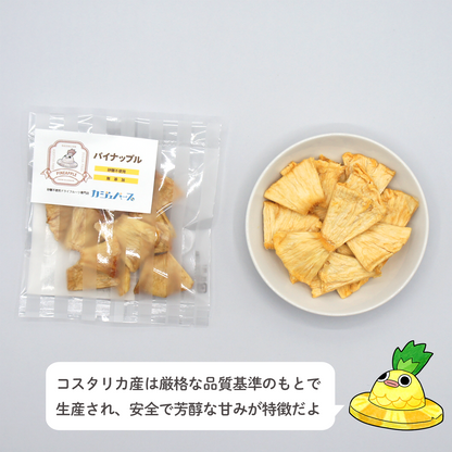 12種のドライフルーツセット