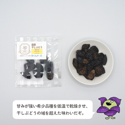12種のドライフルーツセット