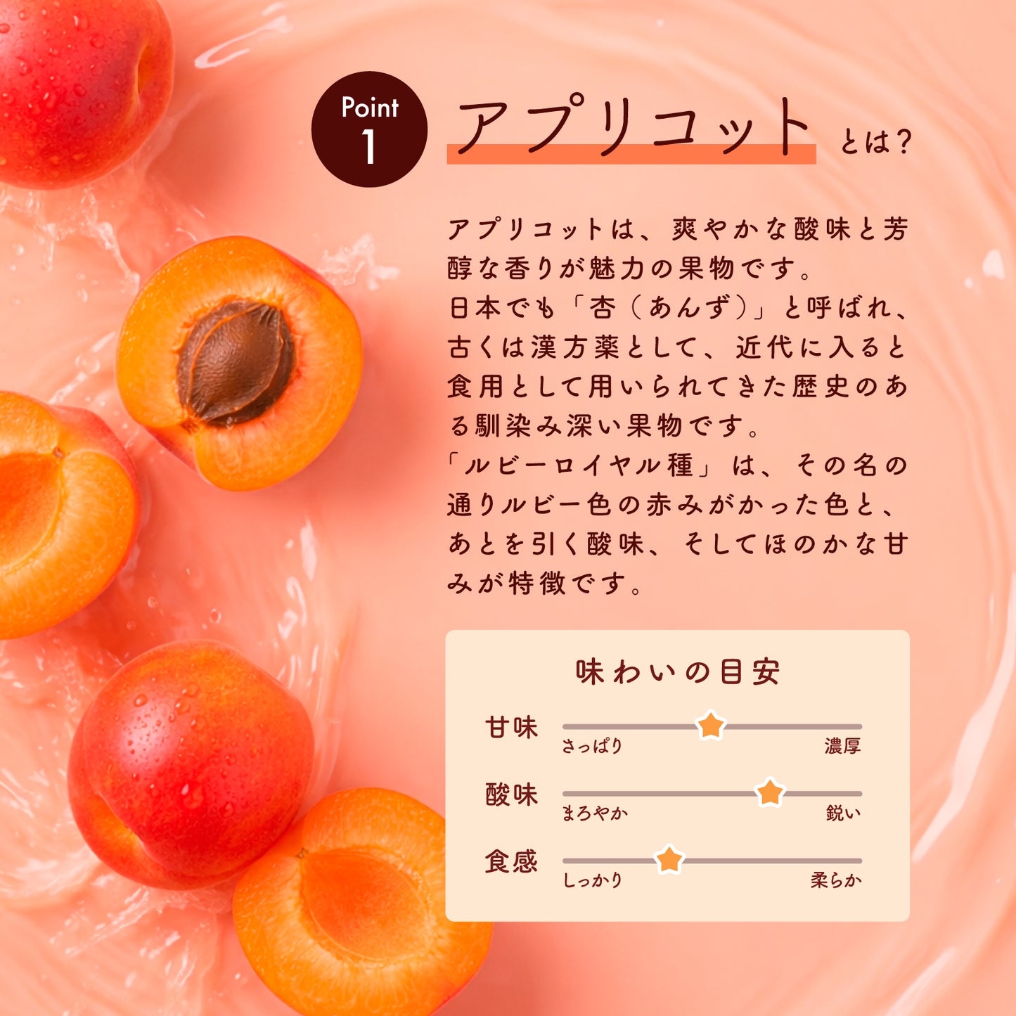 【砂糖不使用】ドライアプリコット（ルビーロイヤル種）