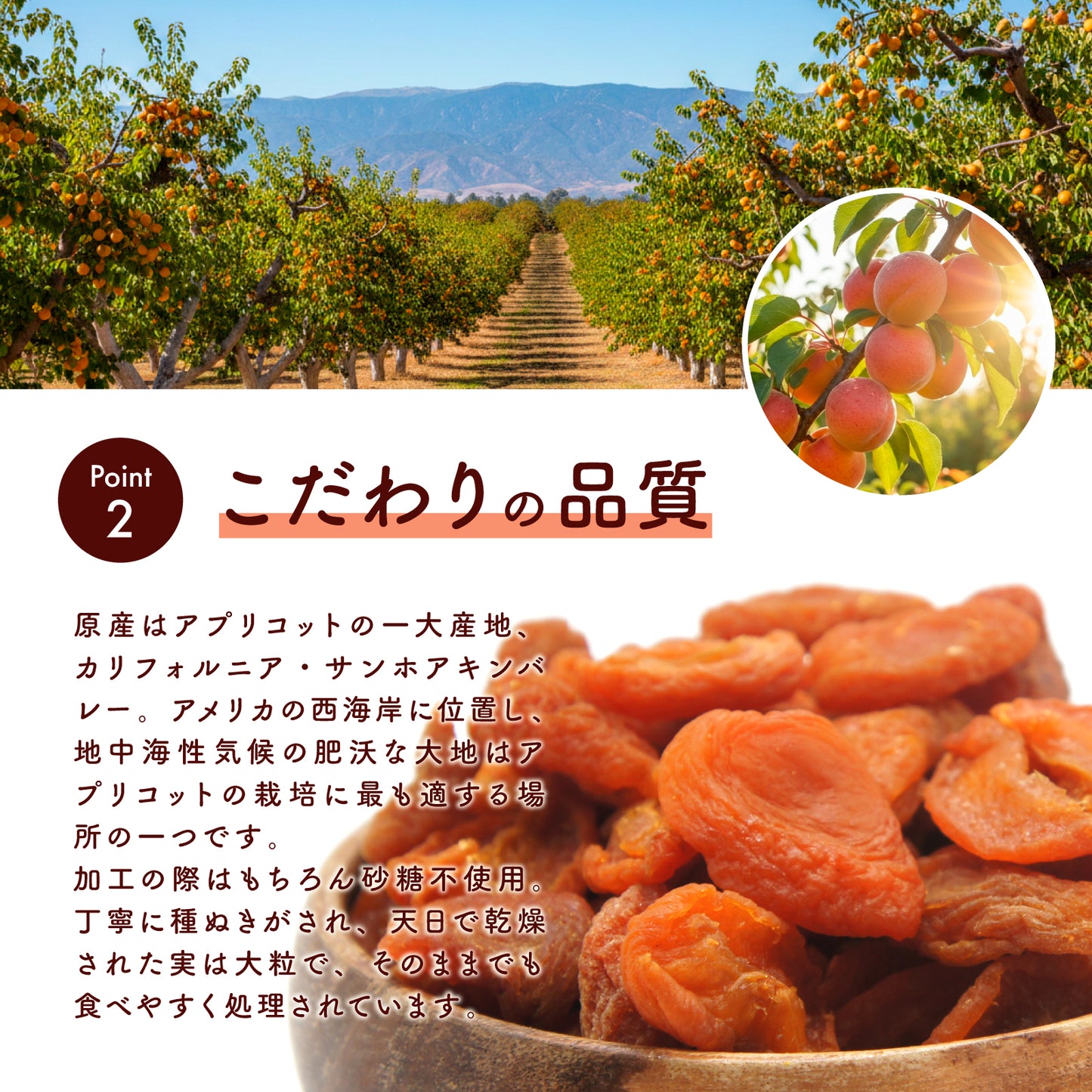 【砂糖不使用】ドライアプリコット（ルビーロイヤル種）