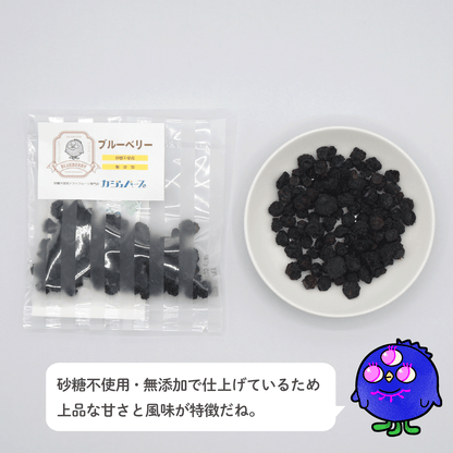 12種のドライフルーツセット