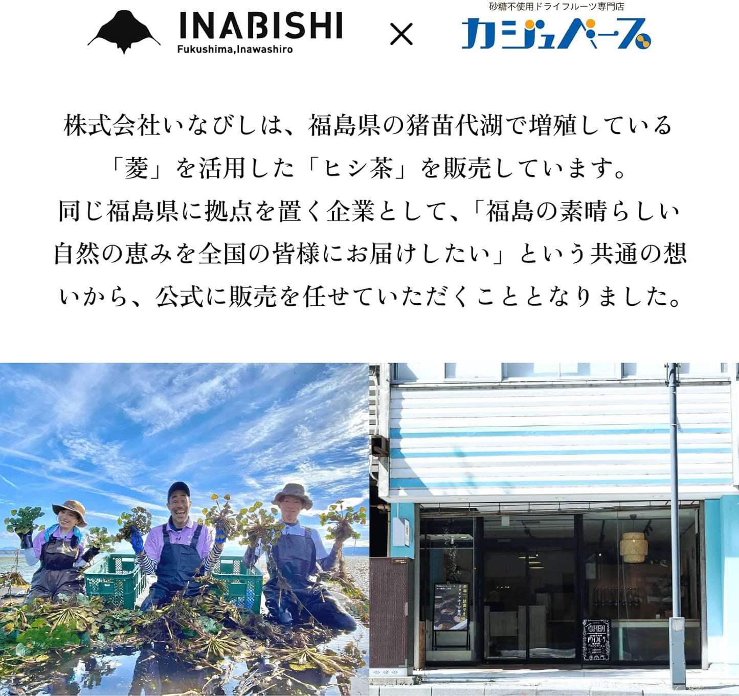【無添加・国産】いなびし　ヒシ茶