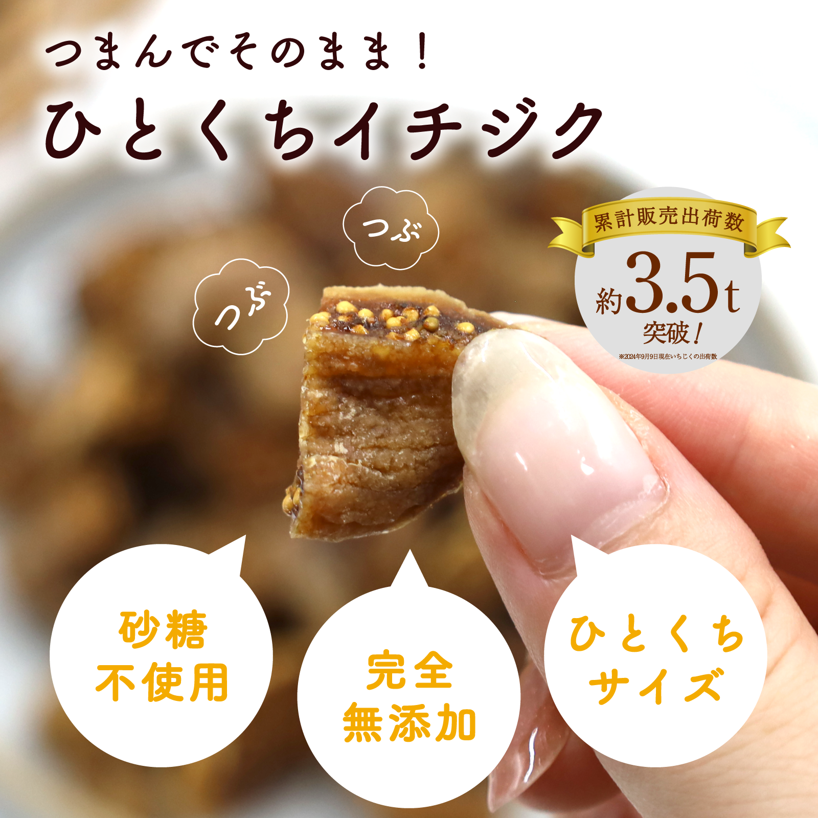 hitokuchi_ichijiku_02.png?v=