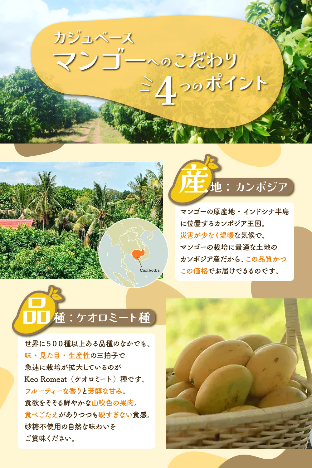 【無添加・砂糖不使用】ドライマンゴー