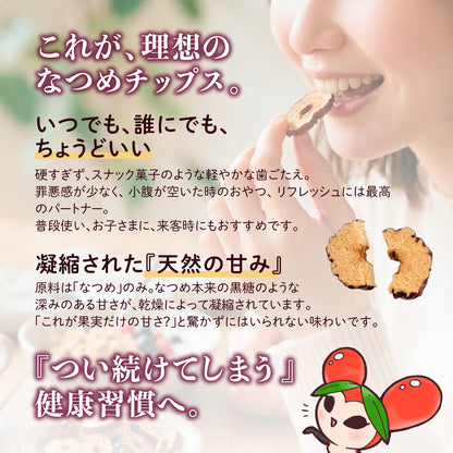 【砂糖不使用・無添加】なつめチップス