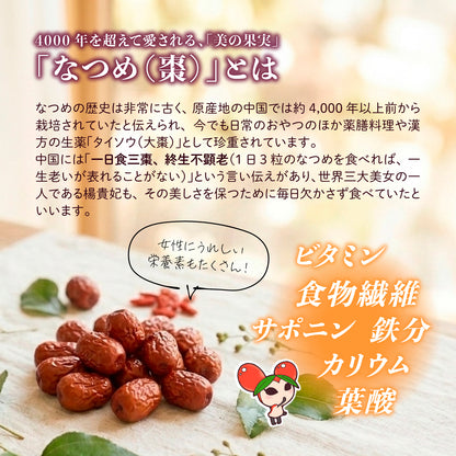 【砂糖不使用・無添加】なつめチップス