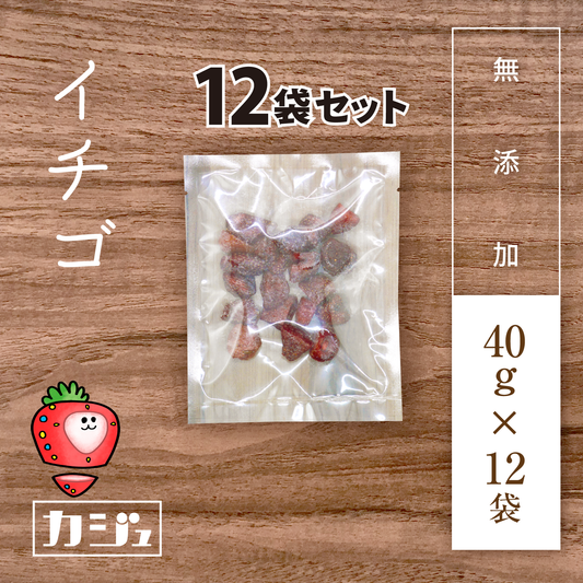 【無添加】ドライイチゴ 12袋（1袋40g）