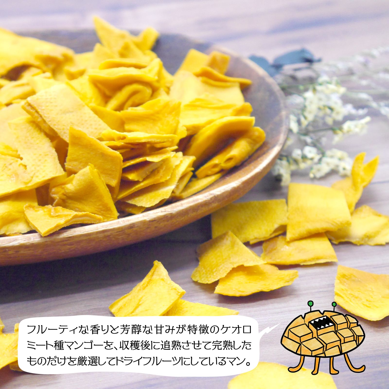 【無添加・砂糖不使用】ドライマンゴー 12袋（1袋40g）